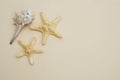 Shell and starsfish over Ivory Neutral Background. copy space for Text. Fishstar. Royalty Free Stock Photo