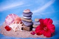 Shell, stones, pearls and red flower Royalty Free Stock Photo