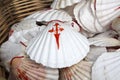 Shell Symbol from Camino de Santiago, Galicia Royalty Free Stock Photo