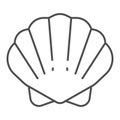 Shell thin line icon, ocean concept, shellfish shell sign on white background, seashell icon in outline style for mobile