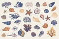 Shell undersea world vector set