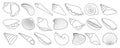 Shell vector outline set icon. Vector illustration set shell sea. Isolated outline icon seashell on white background Royalty Free Stock Photo