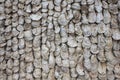 Shell walls