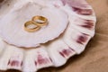 Shell and wedding band Royalty Free Stock Photo