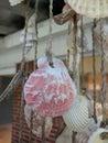 Shell windchime