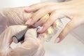 Shellac coating master applies nail polish to client
