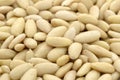 Shelled almonds kernel