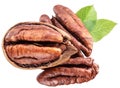 Shelled and cracked pecan nuts with leaves close-up on white background