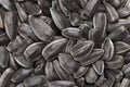 Shelled sunflower seeds Royalty Free Stock Photo