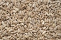 Shelled sunflower seeds background. Sunflower seed kernels texture. Top view Royalty Free Stock Photo