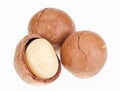 Shelled And Unshelled Macadamia Nuts