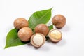 Shelled and unshelled macadamia nuts with leaves isolated on white background. Generative AI