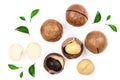 Shelled and unshelled macadamia nuts with leaves isolated on white background. Top view. Flat lay pattern Royalty Free Stock Photo