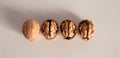 Shelled and unshelled walnuts. Being smart vs. stupid. Accurate solutions lead to success, efficiency, smartness, cleverness let