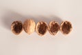 Shelled and unshelled walnuts. Being smart vs. stupid. Accurate solutions lead to success, efficiency, smartness, cleverness let