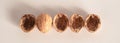 Shelled and unshelled walnuts. Being smart vs. stupid. Accurate solutions lead to success, efficiency, smartness, cleverness let