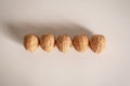 Shelled walnuts. Being smart vs. stupid. Accurate solutions lead to success, efficiency, smartness, cleverness let you avoid