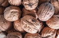 Shelled walnuts. Fresh walnut background