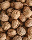 Shelled walnuts. Fresh walnut background