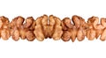 shelled walnuts isolated Royalty Free Stock Photo