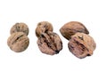 Shelled walnuts isolated on a white background. Royalty Free Stock Photo