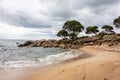 Shelley Cove near Bunker Bay, Eagle Bay and Dunsborough city in Western Australia with nice sandy beach Royalty Free Stock Photo