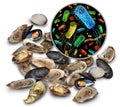 Shellfish Bacteria Risk