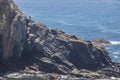 Shellfish catcher ascending the cliff