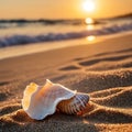 Shellfish corpses on the beach in the morning after the tide has gone down. Royalty Free Stock Photo