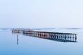 Shellfish farming from Po river lagoon, Italy Royalty Free Stock Photo