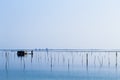 Shellfish farming from Po river lagoon, Italy Royalty Free Stock Photo