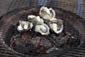 Shellfish frying on a street oven