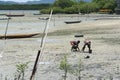 Shellfish gatherers in search of curstaceans for financial support and food for their family. Sao Francisco do Conde, Bahia,