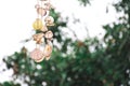 Shellfish mobile hanging aganist blurred nature background Royalty Free Stock Photo