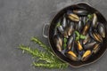 Shellfish Mussels in frying pan. Rosemary and lemon on table. Shellfish seafood