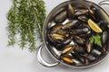 Shellfish Mussels in frying pan. Rosemary and lemon on table