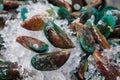 Shellfish mussels on ice