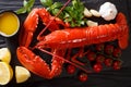 Shellfish plate of crustacean seafood with fresh boiled lobster Royalty Free Stock Photo