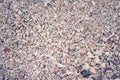 Shellfish platform. Many shells are deposited and make a amazing