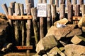 Shellfish prohibited sign next to resting seagull Royalty Free Stock Photo