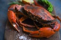 Shellfish seafood plate with steaming crab on wooden dark background Royalty Free Stock Photo