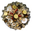Shellfish seafood platter