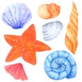 Shellfish and Starfish watercolor collection on white background , Hand drawn for Kids, Greeting Card , Cases design, Royalty Free Stock Photo