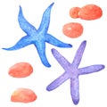 Shellfish and Starfish watercolor collection on white background , Hand drawn for Kids, Greeting Card , Cases design, Royalty Free Stock Photo