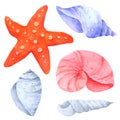 Shellfish and Starfish watercolor collection on white background , Hand drawn for Kids, Greeting Card , Cases design, Royalty Free Stock Photo