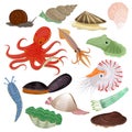 Shellfish vector marine animal octopus molluscs tentacle and animalistic character octopi oyster snail in sea Royalty Free Stock Photo