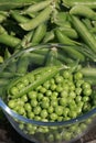 Shelling peas - closeup Royalty Free Stock Photo