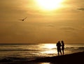 Shelling at Sunset on Sanibel Royalty Free Stock Photo