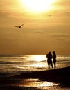 Shelling at Sunset on Sanibel Royalty Free Stock Photo