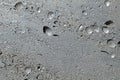 Shellrock grey background painted silver, shellrock texture Royalty Free Stock Photo